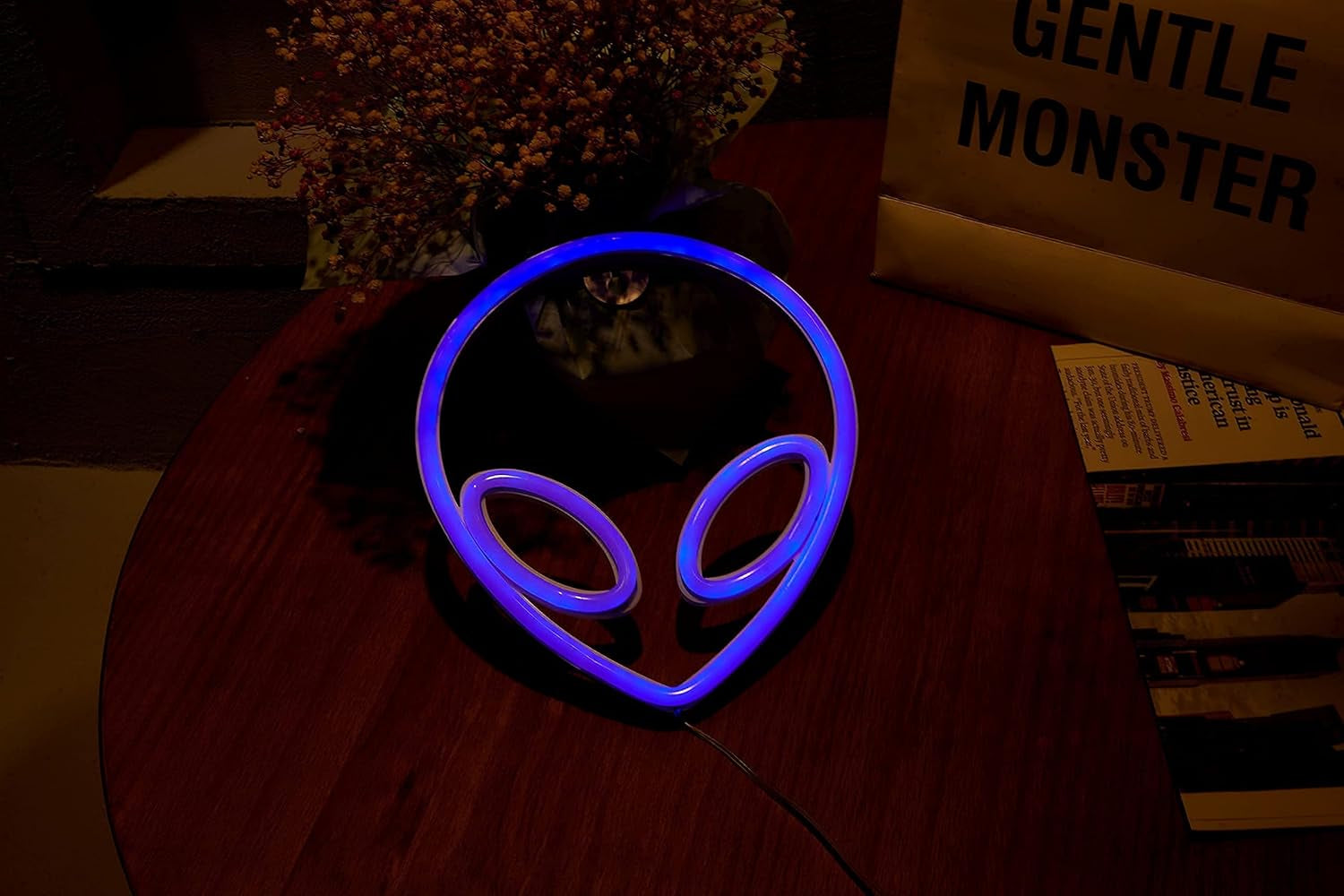 Alien Neon Sign Led Signs Alien Lamp for Wall Decor Neon Lights for Bedroom Asthetic Room Decor Alien Decorations Battery/Usb Operated(Blue)